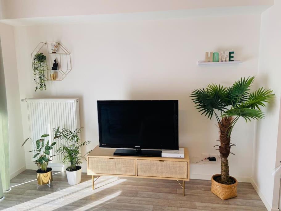 Le Saint Hilaire *T2* Apartment Orleans Ngoại thất bức ảnh
